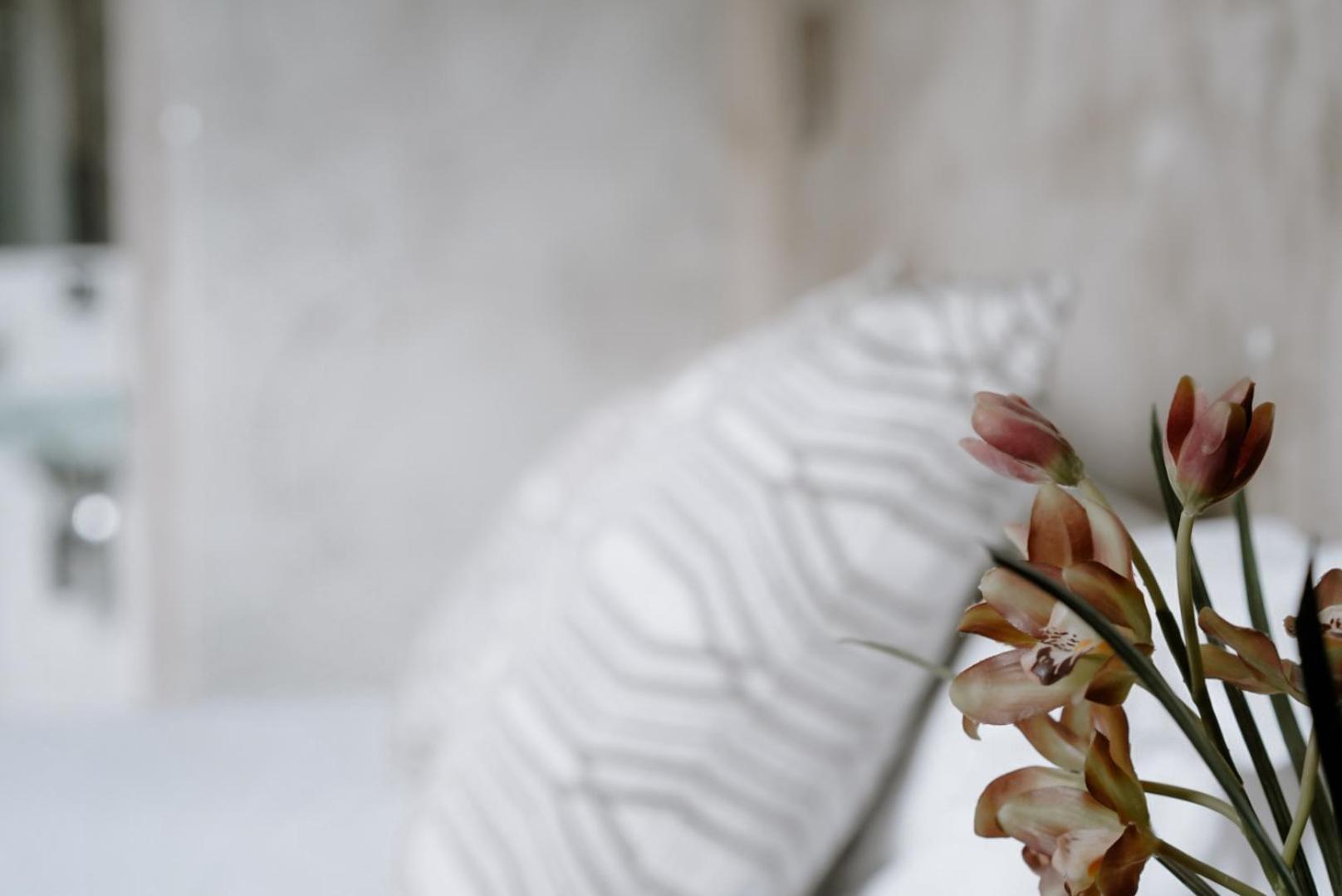 Ideal Sejour Cannes - Stylish Boutique Hotel With Quiet Garden Ngoại thất bức ảnh